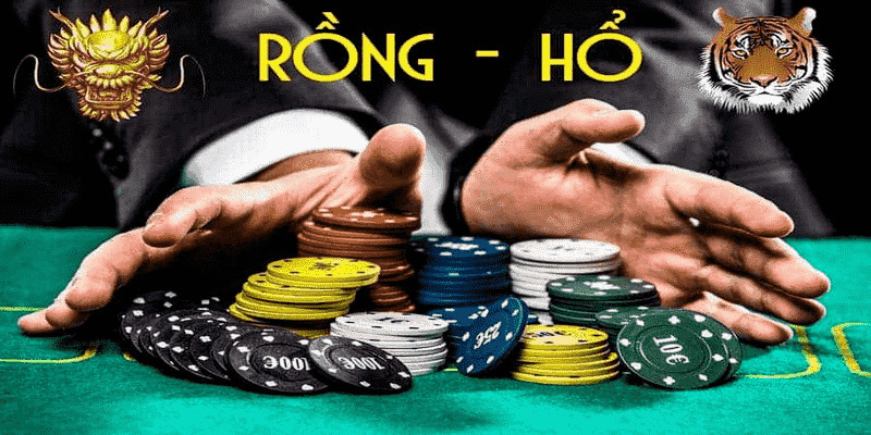 Cách soi cầu rồng hổ dễ nhất là chọn thời điểm đặt cược